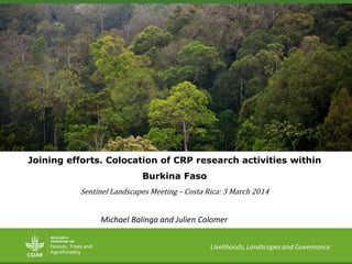 Joining efforts. Colocation of CRP research activities within
Burkina Faso
Sentinel Landscapes Meeting – Costa Rica: 3 March 2014
Michael Balinga and Julien Colomer
 