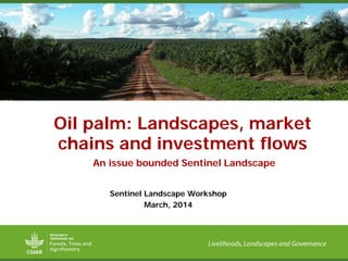 Sentinel Landscape Workshop
March, 2014
An issue bounded Sentinel Landscape
Oil palm: Landscapes, market
chains and investment flows
 
