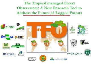 The Tropical managed Forest
Observatory: A New Research Tool to
Address the Future of Logged Forests
 