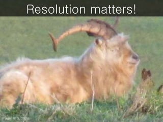 Image: RTG, 2009
Resolution matters!
 