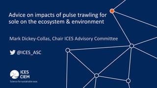 Advice on impacts of pulse trawling for
sole on the ecosystem & environment
Mark Dickey-Collas, Chair ICES Advisory Committee
@ICES_ASC
 