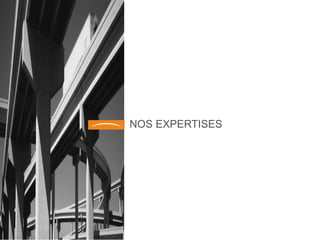 NOS EXPERTISES 