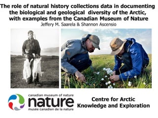 Centre for Arctic
Knowledge and Exploration
The role of natural history collections data in documenting
the biological and geological diversity of the Arctic,
with examples from the Canadian Museum of Nature
Jeffery M. Saarela & Shannon Ascensio
 