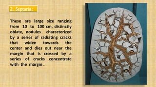 Septarium Presentation on sedimentary structures .pptx