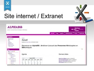 Site internet / Extranet 