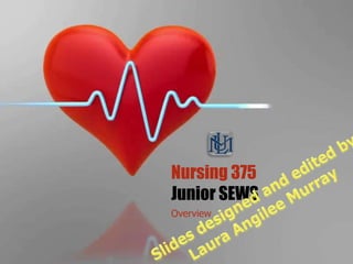 Nursing 375
Junior SEWS
Overview
 