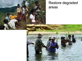 Biodiversity and Climate Change: Avenues for Adaptation | PPT