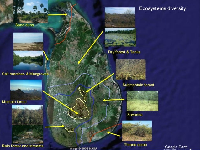 biodiversity and climate change pdf