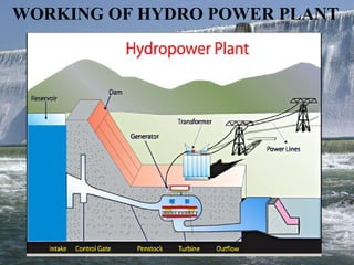 WORKING OF HYDRO POWER PLANT 