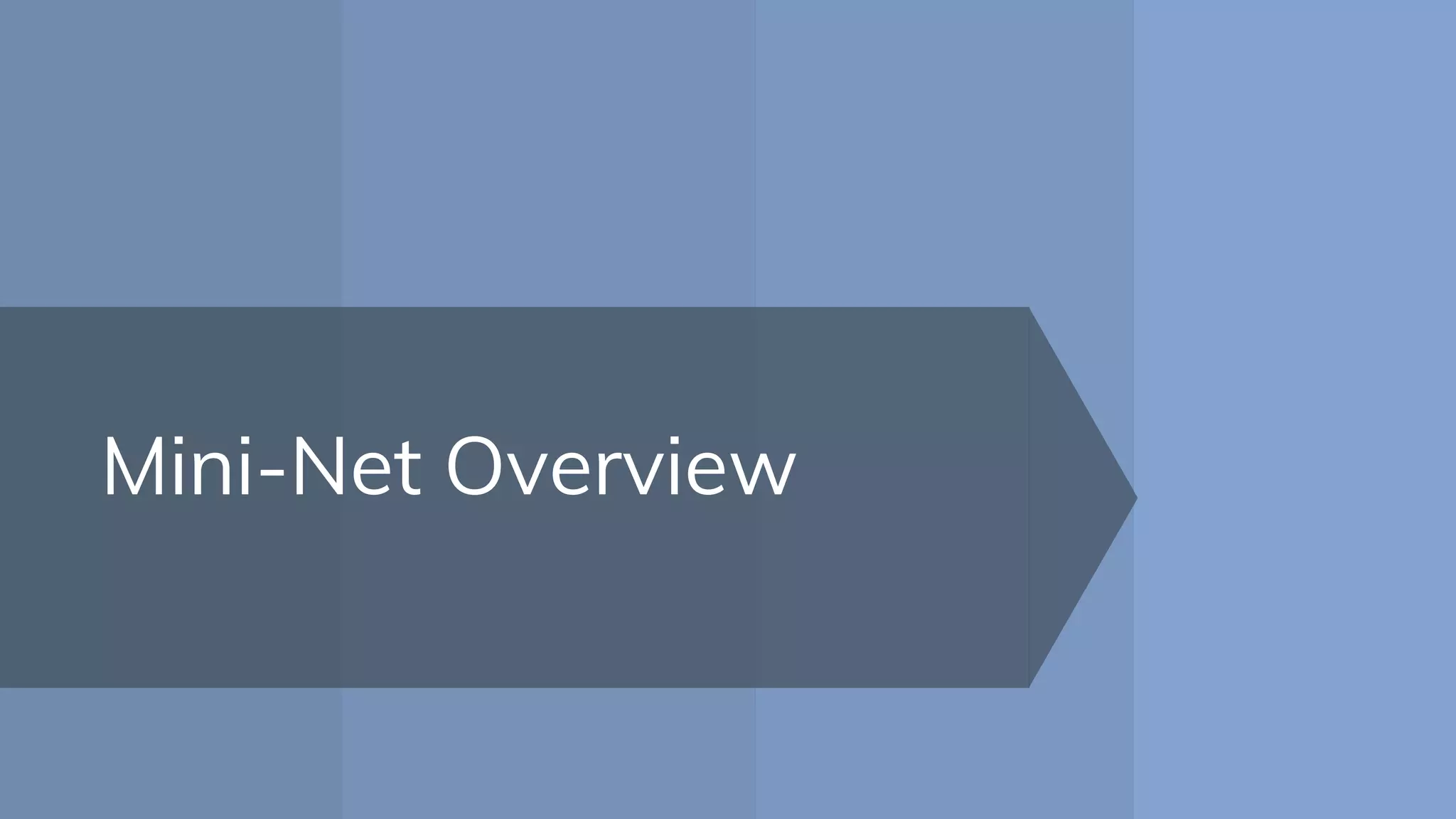 Mini-Net Overview
 
