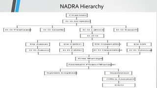 NADRA Hierarchy
 
