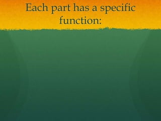 Each part has a specific
      function:
 