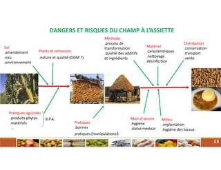 DANGERS ET RISQUES DU CHAMP À L’ASSIETTE
Sol
.amendement
.eau
.environnement
Plants et semences
.nature et qualité (OGM ?)
Pratiques agricoles
.produits phytos
.matériels
…
Du champ Récolte Stockage
B.P.A.
Pratiques
.bonnes
pratiques (manipulations)
12
À l’assiette
Milieu
.implantation
.hygiène des locaux
Main d'œuvre
.hygiène
.statut médical
Méthode
.process de
transformation
.qualité des additifs
et ingrédients
Matériel
.caractéristiques
.nettoyage
désinfection
Distribution
.conservation
.transport
.vente
 