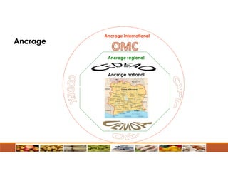 Ancrage régional
Ancrage international
Ancrage national
Ancrage national
Ancrage
 