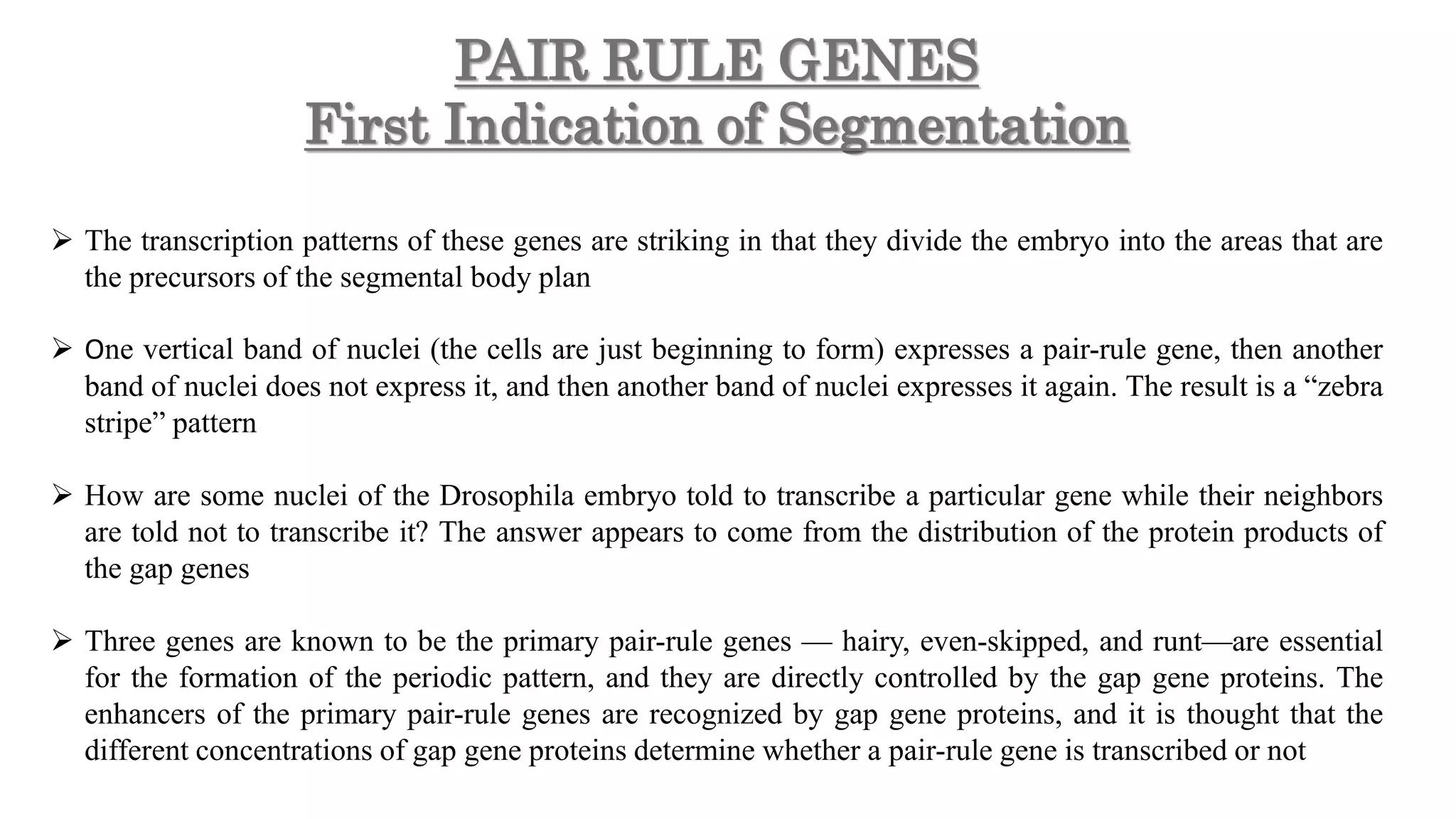 PAIR RULE GENES
First Indication of Segmentation
 The transcription patterns of these genes are striking in that they divide the embryo into the areas that are
the precursors of the segmental body plan
 One vertical band of nuclei (the cells are just beginning to form) expresses a pair-rule gene, then another
band of nuclei does not express it, and then another band of nuclei expresses it again. The result is a “zebra
stripe” pattern
 How are some nuclei of the Drosophila embryo told to transcribe a particular gene while their neighbors
are told not to transcribe it? The answer appears to come from the distribution of the protein products of
the gap genes
 Three genes are known to be the primary pair-rule genes — hairy, even-skipped, and runt—are essential
for the formation of the periodic pattern, and they are directly controlled by the gap gene proteins. The
enhancers of the primary pair-rule genes are recognized by gap gene proteins, and it is thought that the
different concentrations of gap gene proteins determine whether a pair-rule gene is transcribed or not
 