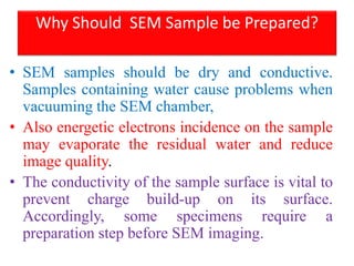 sample preparation for SEM analysis Presentation SEM | PDF