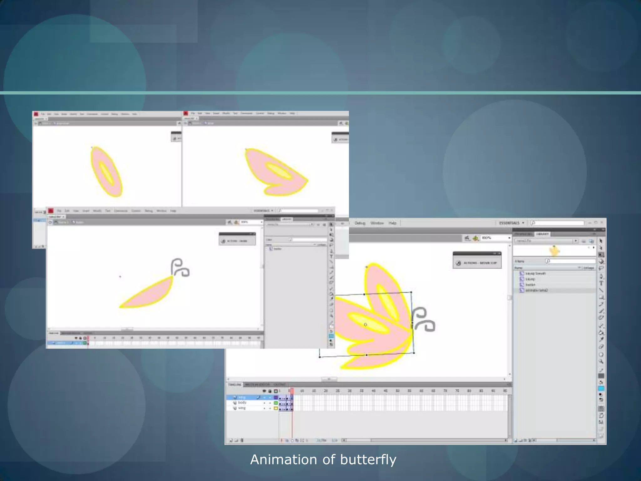 Animation of butterfly