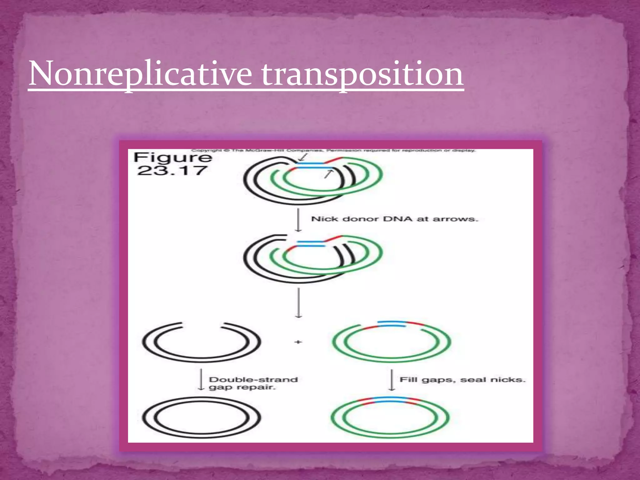 Nonreplicative transposition
 