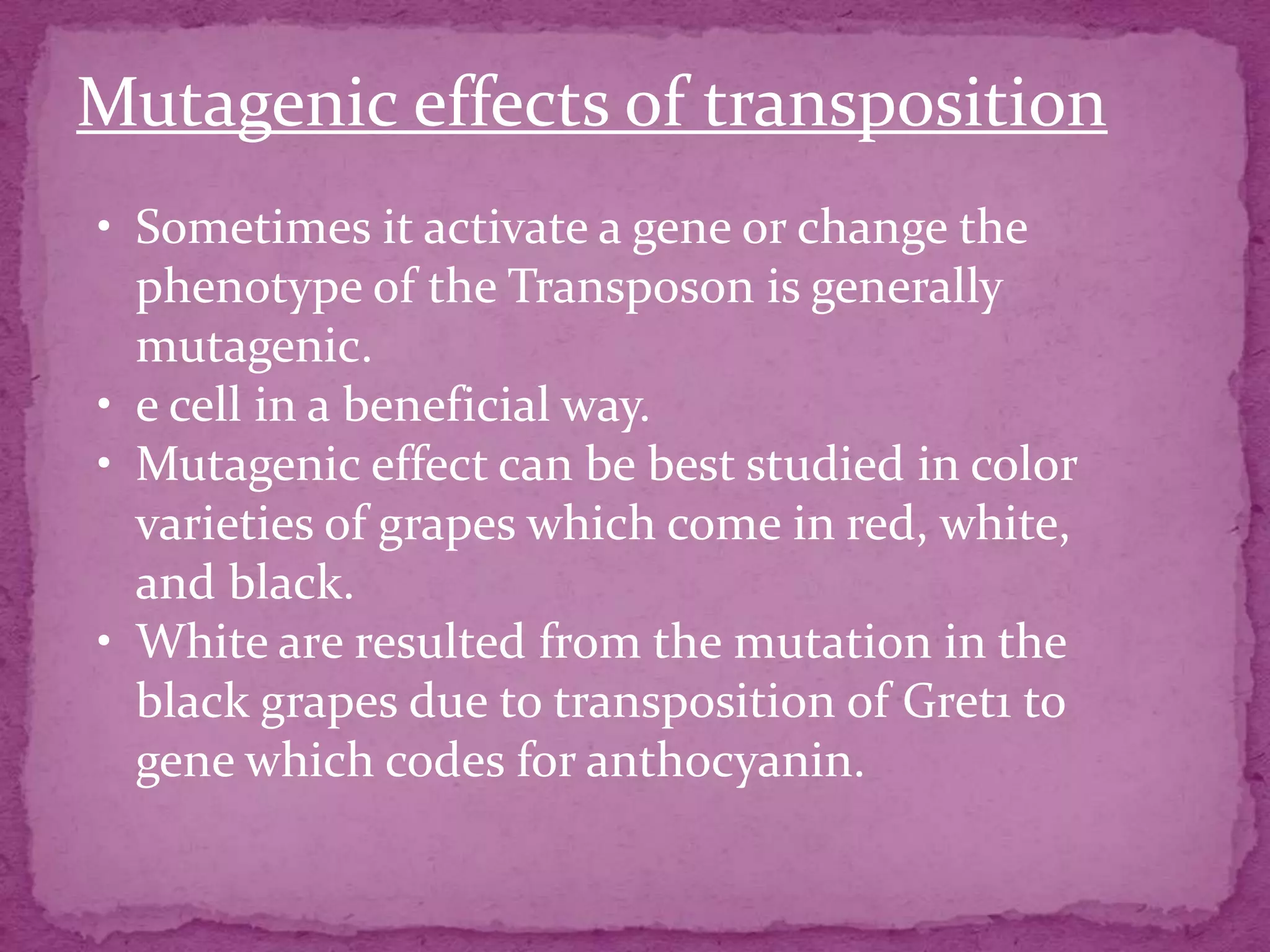 Mutagenic effects of transposition
• Sometimes it activate a gene or change the
  phenotype of the Transposon is generally
  mutagenic.
• e cell in a beneficial way.
• Mutagenic effect can be best studied in color
  varieties of grapes which come in red, white,
  and black.
• White are resulted from the mutation in the
  black grapes due to transposition of Gret1 to
  gene which codes for anthocyanin.
 