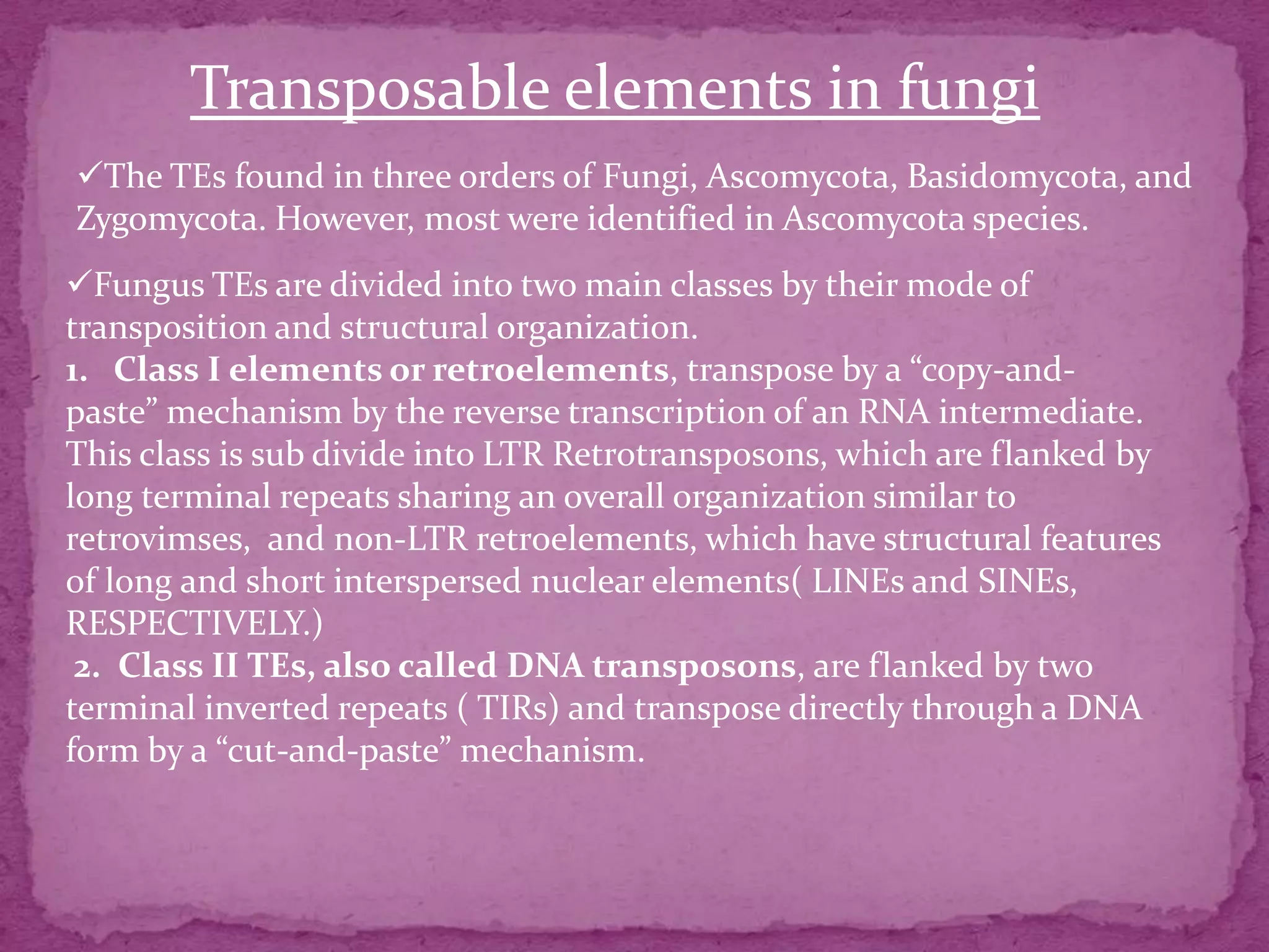 Transposable elements in fungi
The TEs found in three orders of Fungi, Ascomycota, Basidomycota, and
Zygomycota. However, most were identified in Ascomycota species.
Fungus TEs are divided into two main classes by their mode of
transposition and structural organization.
1. Class I elements or retroelements, transpose by a “copy-and-
paste” mechanism by the reverse transcription of an RNA intermediate.
This class is sub divide into LTR Retrotransposons, which are flanked by
long terminal repeats sharing an overall organization similar to
retrovimses, and non-LTR retroelements, which have structural features
of long and short interspersed nuclear elements( LINEs and SINEs,
RESPECTIVELY.)
 2. Class II TEs, also called DNA transposons, are flanked by two
terminal inverted repeats ( TIRs) and transpose directly through a DNA
form by a “cut-and-paste” mechanism.
 