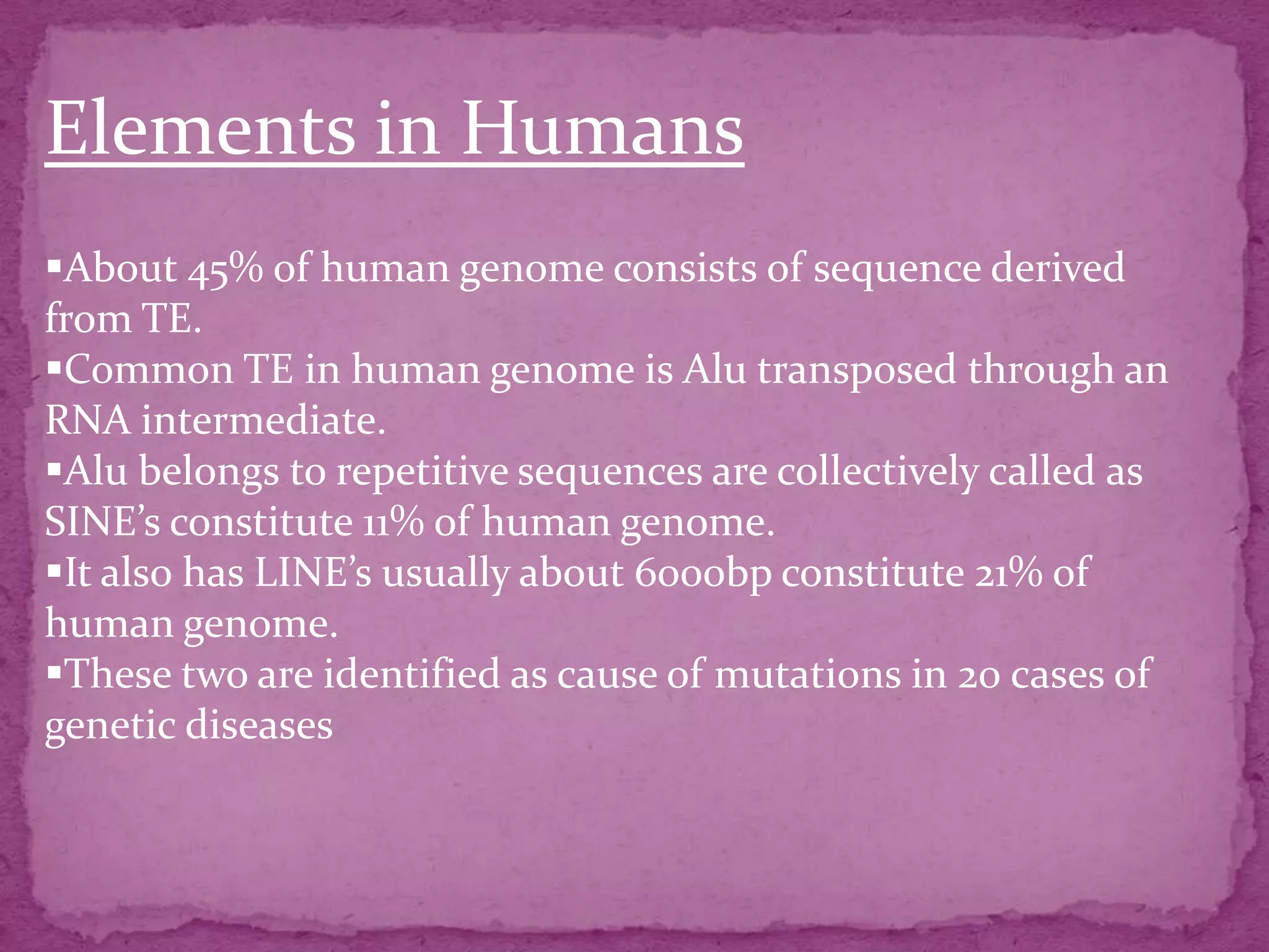 Elements in Humans
About 45% of human genome consists of sequence derived
from TE.
Common TE in human genome is Alu transposed through an
RNA intermediate.
Alu belongs to repetitive sequences are collectively called as
SINE’s constitute 11% of human genome.
It also has LINE’s usually about 6000bp constitute 21% of
human genome.
These two are identified as cause of mutations in 20 cases of
genetic diseases
 