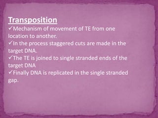 Transposition
Mechanism of movement of TE from one
location to another.
In the process staggered cuts are made in the
target DNA.
The TE is joined to single stranded ends of the
target DNA
Finally DNA is replicated in the single stranded
gap.
 