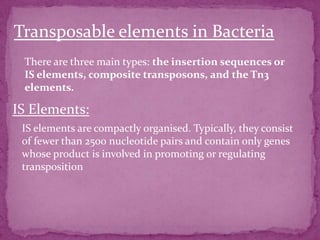 Transposable elements in Bacteria
 There are three main types: the insertion sequences or
 IS elements, composite transposons, and the Tn3
 elements.

IS Elements:
 IS elements are compactly organised. Typically, they consist
 of fewer than 2500 nucleotide pairs and contain only genes
 whose product is involved in promoting or regulating
 transposition
 
