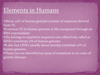 Elements in Humans
About 45% of human genome consists of sequence derived
from TE.
Common TE in human genome is Alu transposed through an
RNA intermediate.
Alu belongs to repetitive sequences are collectively called as
SINE’s constitute 11% of human genome.
It also has LINE’s usually about 6000bp constitute 21% of
human genome.
These two are identified as cause of mutations in 20 cases of
genetic diseases
 