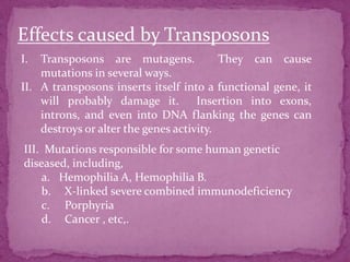 Effects caused by Transposons
I.  Transposons are mutagens.             They can cause
    mutations in several ways.
II. A transposons inserts itself into a functional gene, it
    will probably damage it. Insertion into exons,
    introns, and even into DNA flanking the genes can
    destroys or alter the genes activity.
III. Mutations responsible for some human genetic
diseased, including,
    a. Hemophilia A, Hemophilia B.
    b. X-linked severe combined immunodeficiency
    c. Porphyria
    d. Cancer , etc,.
 
