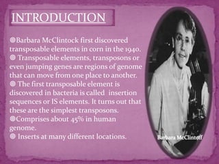 INTRODUCTION
Barbara McClintock first discovered
transposable elements in corn in the 1940.
 Transposable elements, transposons or
even jumping genes are regions of genome
that can move from one place to another.
 The first transposable element is
discovered in bacteria is called insertion
sequences or IS elements. It turns out that
these are the simplest transposons.
Comprises about 45% in human
genome.
 Inserts at many different locations.
 