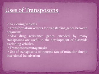 Uses of Transposons.

As cloning vehicles
Transformation vectors for transferring genes between
organisms.
Also drug resistance genes encoded by many
transposons are useful in the development of plasmids
as cloning vehicles.
Transposons mutagenesis:
Use of transposons to increase rate of mutation due to
insertional inactivation
 