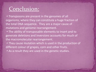 Conclusion:
Transposons are present in the genomes of all
organisms, where they can constitute a huge fraction of
the total DNA sequence. They are a major cause of
mutations and genome rearrangement.
The ability of transposable elements to insert and to
generate deletions and inversions accounts for much of
the macromolecular rearrangement.
They cause mutation which is used in the production of
different colour of grapes, corn and other fruits.
As a result they are used in the genetic studies.
 