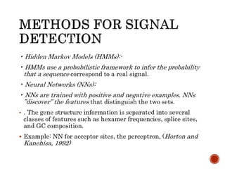 • Hidden Markov Models (HMMs):-
• HMMs use a probabilistic framework to infer the probability
that a sequence correspond to a real signal.
• Neural Networks (NNs):
• NNs are trained with positive and negative examples. NNs
”discover” the features that distinguish the two sets.
• . The gene structure information is separated into several
classes of features such as hexamer frequencies, splice sites,
and GC composition.
 Example: NN for acceptor sites, the perceptron, (Horton and
Kanehisa, 1992)
 