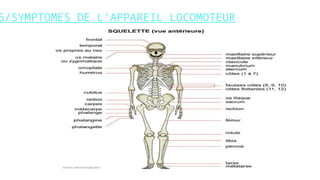 6/SYMPTOMES DE L’APPAREIL LOCOMOTEUR
www.i
s
p
i
t
s.
n
et
 