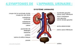 www.i
s
p
i
t
s.
n
et
4,SYMPTOMES DE L’APPAREIL URINAIRE :
 