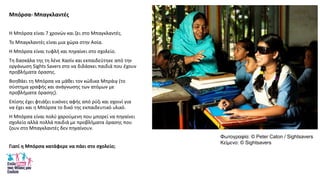 Μπόρςα- Μπαγκλαντζσ
Θ Μπόρςα είναι 7 χρονϊν και ηει ςτο Μπαγκλαντζσ.
Το Μπαγκλαντζσ είναι μια χϊρα ςτθν Αςία.
Θ Μπόρςα είναι τυφλι και πθγαίνει ςτο ςχολείο.
Τθ δαςκάλα τθσ τθ λζνε Χαςίν και εκπαιδεφτθκε από τθν
οργάνωςθ Sights Savers ςτο να διδάςκει παιδιά που ζχουν
προβλιματα όραςθσ.
Βοθκάει τθ Μπόρςα να μάκει τον κϊδικα Μπράιγ (το
ςφςτθμα γραφισ και ανάγνωςθσ των ατόμων με
προβλιματα όραςθσ).
Επίςθσ ζχει φτιάξει εικόνεσ αφισ από ρφηι και ςχοινί για
να ζχει και θ Μπόρςα το δικό τθσ εκπαιδευτικό υλικό.
Θ Μπόρςα είναι πολφ χαροφμενθ που μπορεί να πθγαίνει
ςχολείο αλλά πολλά παιδιά με προβλιματα όραςθσ που
ηουν ςτο Μπαγκλαντζσ δεν πθγαίνουν.
Γιατί θ Μπόρςα κατάφερε να πάει ςτο ςχολείο;
Φωηογραθία: © Peter Caton / Sightsavers
Κείμενο: © Sightsavers
 