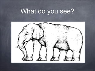 What do you see? 
 