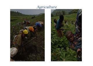 Agriculture




              21
 