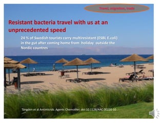 24 % of Swedish tourists carry multiresistant (ESBL E.coli)
in the gut after coming home from holiday outside the
Nordic countres
Resistant bacteria travel with us at an
unprecedented speed
Tängden et al Antimicrob. Agents Chemother. doi:10.1128/AAC.00220-10
Travel, migration, trade
 