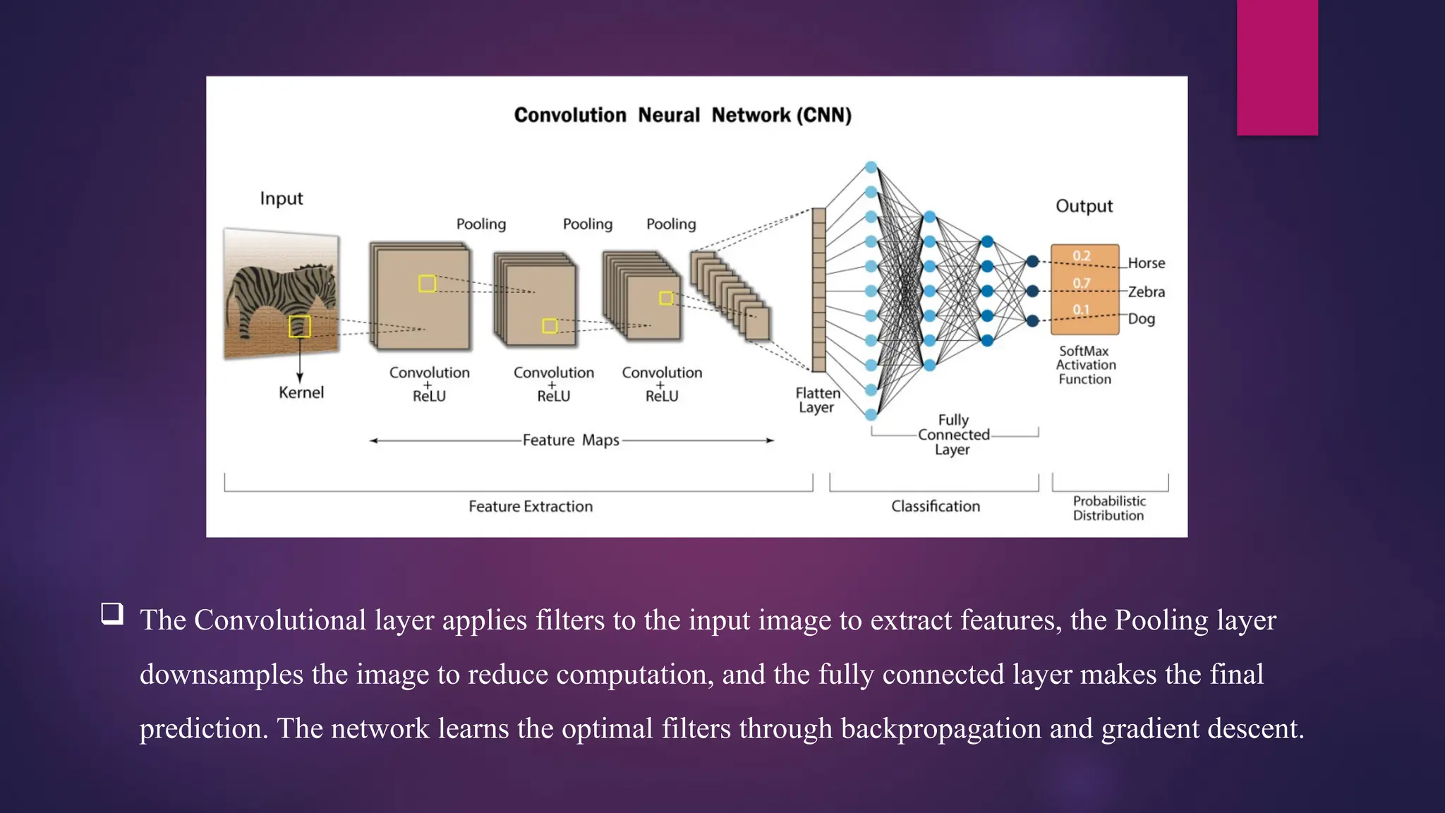  The Convolutional layer applies filters to the input image to extract features, the Pooling layer
downsamples the image to reduce computation, and the fully connected layer makes the final
prediction. The network learns the optimal filters through backpropagation and gradient descent.
 