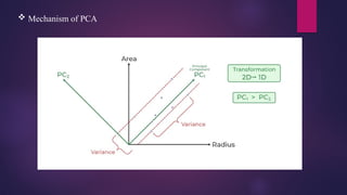  Mechanism of PCA
 