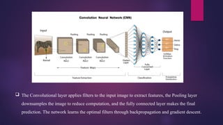  The Convolutional layer applies filters to the input image to extract features, the Pooling layer
downsamples the image to reduce computation, and the fully connected layer makes the final
prediction. The network learns the optimal filters through backpropagation and gradient descent.
 