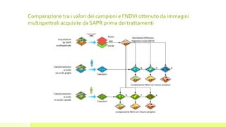 Comparazione tra i valori dei campioni e l’NDVI ottenuto da immagini
multispettrali acquisite da SAPR prima dei trattamenti
 