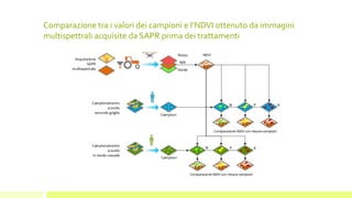 Comparazione tra i valori dei campioni e l’NDVI ottenuto da immagini
multispettrali acquisite da SAPR prima dei trattamenti
 