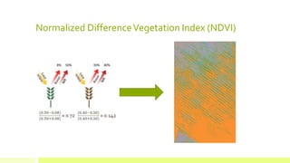Normalized DifferenceVegetation Index (NDVI)
 