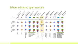Schema disegno sperimentale
 