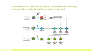 Comparazione tra i valori dei campioni e l’NDVI ottenuto da immagini
multispettrali acquisite da satellite prima dei trattamenti
 
