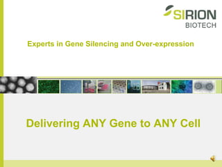 Experts in Gene Silencing and Over-expression Delivering ANY Gene to ANY Cell 