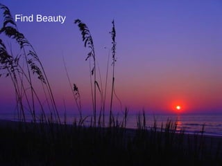 Find Beauty 