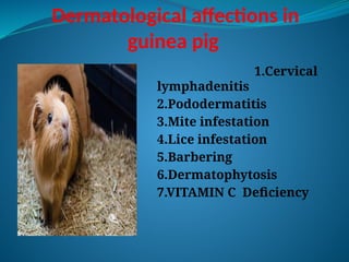 Presentation skin (1)11111111.pptgfjkftkuylkfujdjx | PPTX